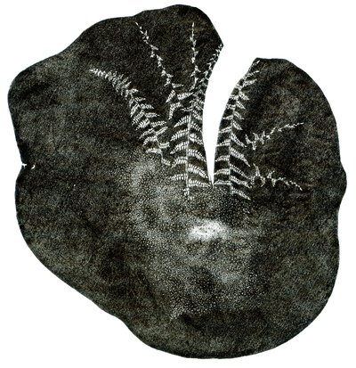 Espira, 2014 da Bella Larsson